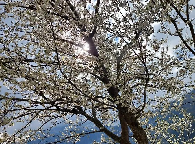 Apartment Urlaub Lunz - Fam. Fuerst Lunz am See